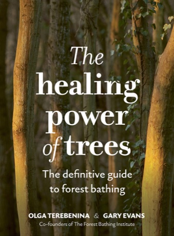 The Healing Power of Trees: The Definitive Guide to Forest Bathing